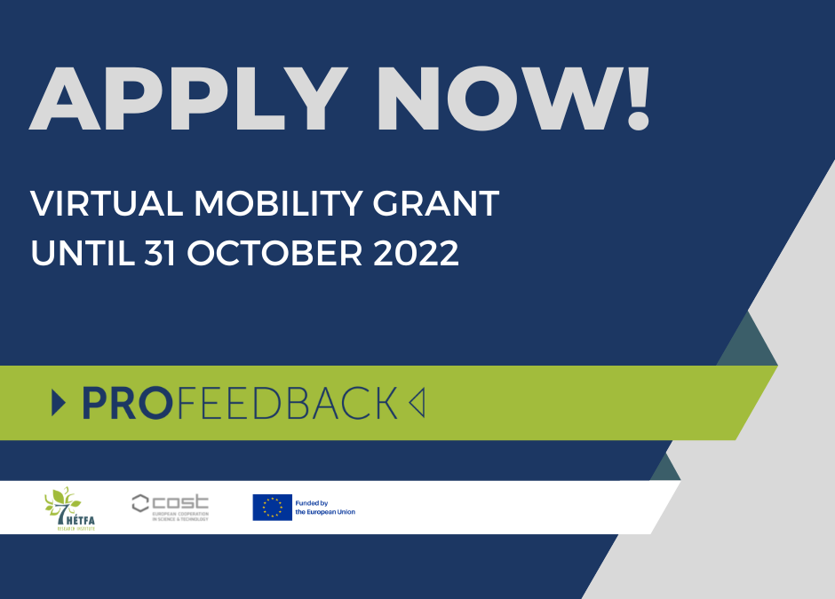 Call for Virtual Mobility is now open for applications